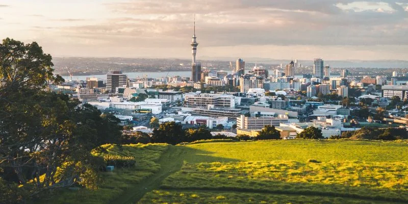 Auckland Office in New Zealand