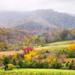 Charlottesville Office in Virginia