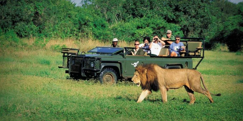 Air Transat South Africa Office