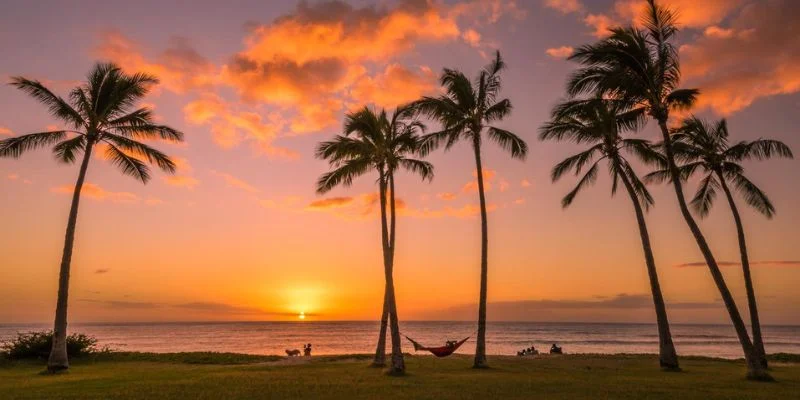 Honolulu Office in Hawaii