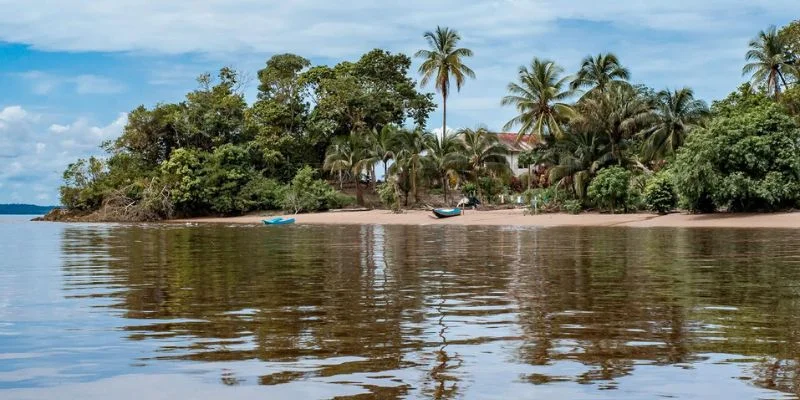 Guyana Office