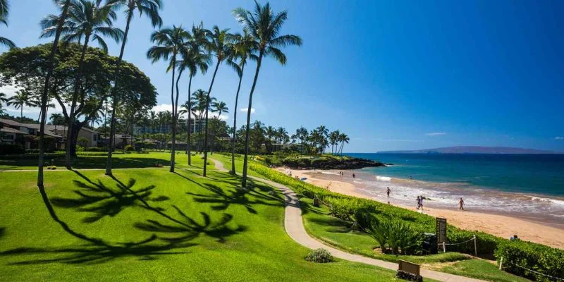 Maui Office in Hawaii