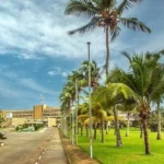 Mauritania Airlines Cotonou Office in Benin