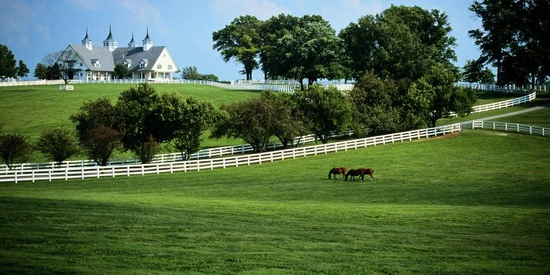 PSA Airlines Lexington Office in Kentucky