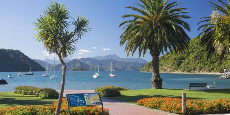 Picton Office in New Zealand