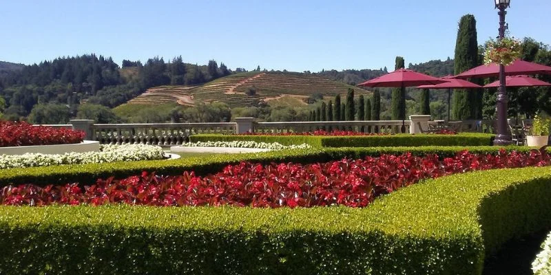 Piedmont Airlines Santa Rosa Office in California