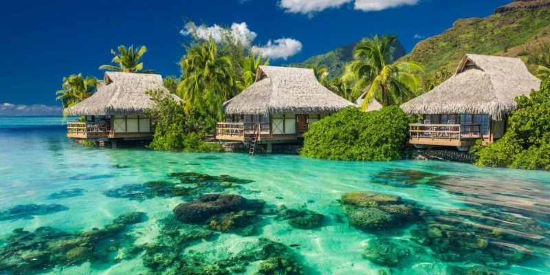 Tahiti Office