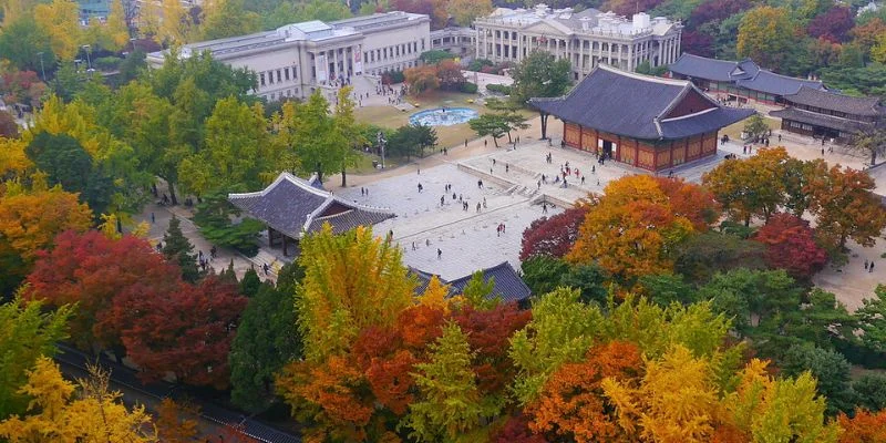 Seoul Office in South Korea