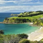 Waiheke Office in New Zealand