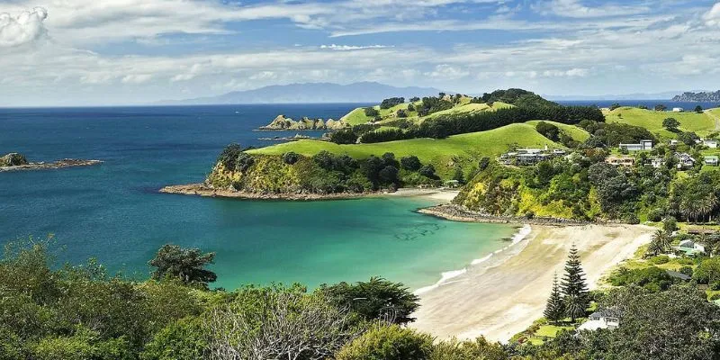 Waiheke Office in New Zealand