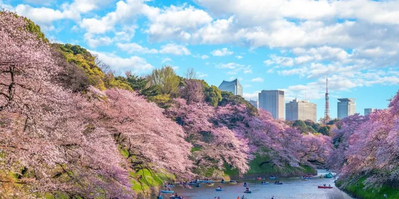 Air France Tokyo Office