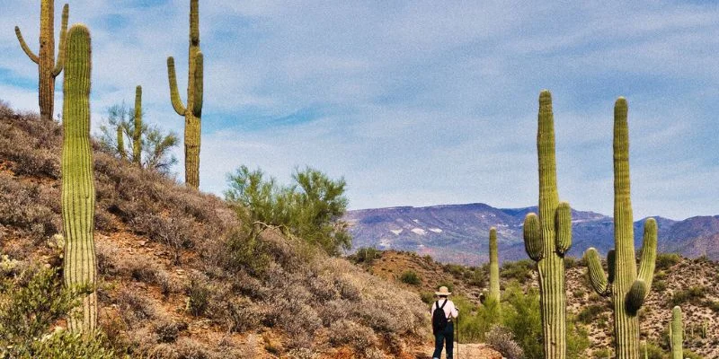 Allegiant Air Phoenix Office in USA