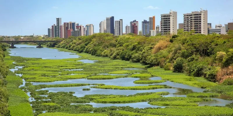 Azul Airlines Teresina Office in Brazil