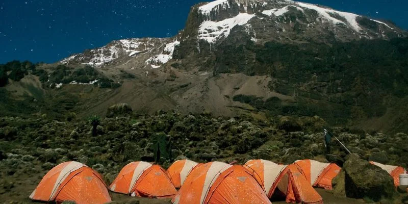 Condor Airlines Kilimanjaro Office in Tanzania