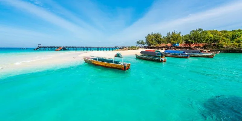 Zanzibar Office in Tanzania