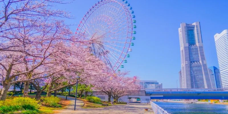 Asia Pacific Yokohama Office in Japan